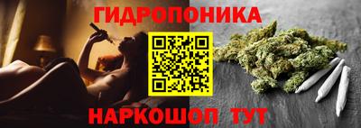гашиш Сланцы