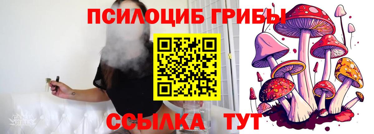 Галлюциногенные грибы ЛСД Чайковский