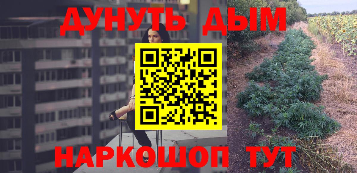 Чайковский  Шишки марихуана OG Kush  Шишки марихуана Bruce Banner  Канабис семена  Вход с VPN 